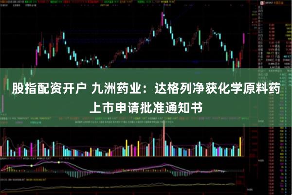 股指配资开户 九洲药业：达格列净获化学原料药上市申请批准通知书
