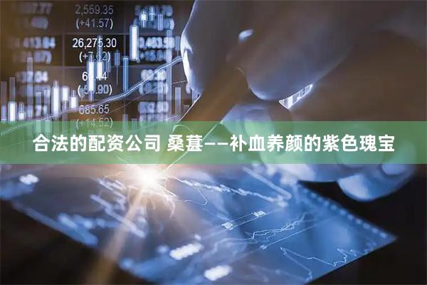 合法的配资公司 桑葚——补血养颜的紫色瑰宝